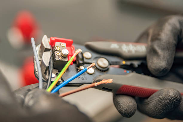 Best Electrical System Inspection  in Agler Beach, FL