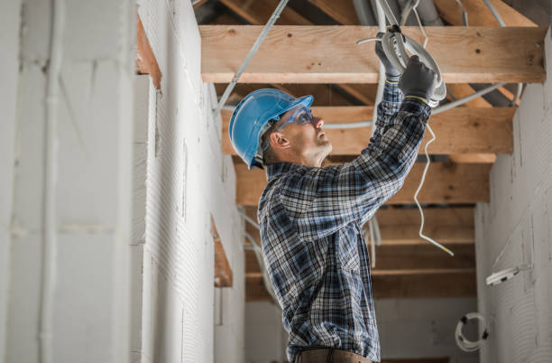 Best Electric Panel Repair  in Agler Beach, FL