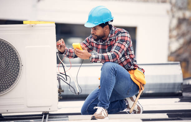 Best Affordable Electrician  in Agler Beach, FL